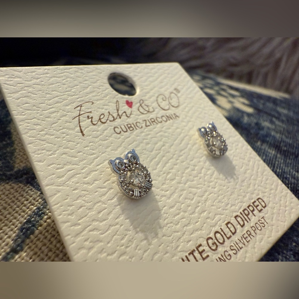 Fresh Co.🦉Stud Earrings | Sterling Silver/White Gold Plated Cubic Zirconia Owl